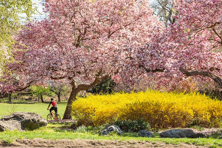 Philly Spring Cleanup 2026