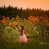 Linvilla Orchards Sunflower Festival