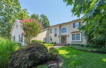 Limited - Anne Koons 4 Collage Ct