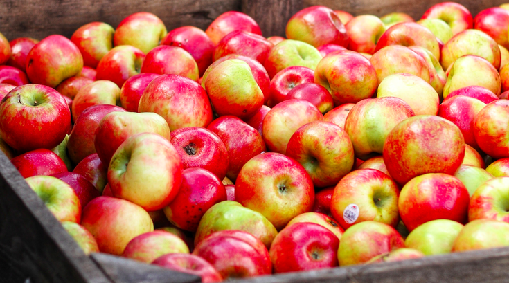 Peddler's Village AppleTime in the Village