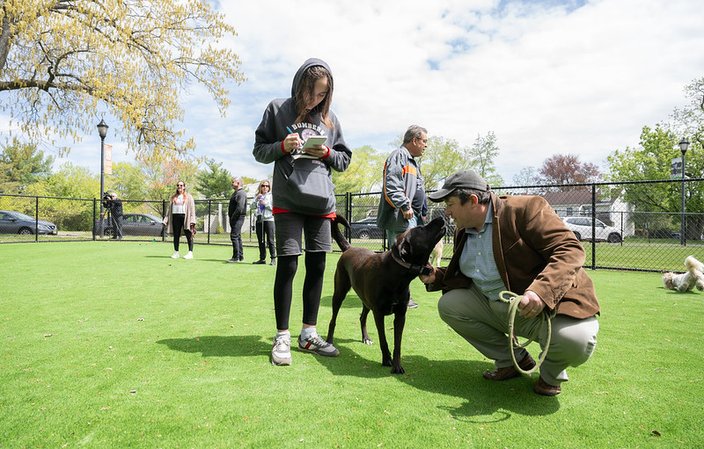 Dog Park Three