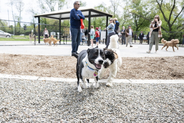 Dog Park cherry hill