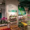 Whole Foods Market Daily