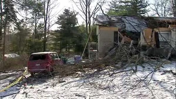 Wind knocks down Delco tree