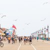 Ocean City Disturbances