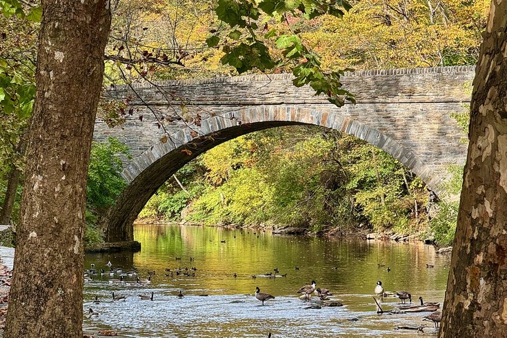 Wissahickon Bridge Repairs