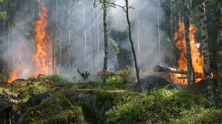 Wildfire Health Risks