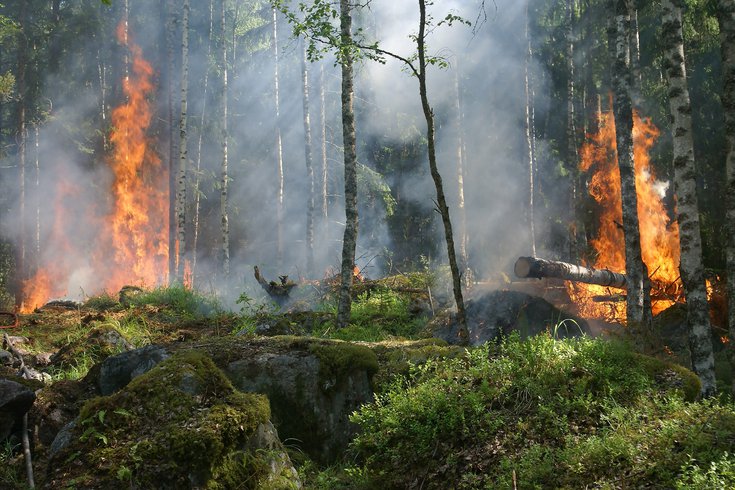 Wildfire Health Risks