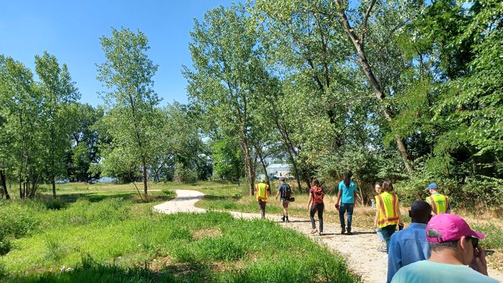 Borski Park Meadow
