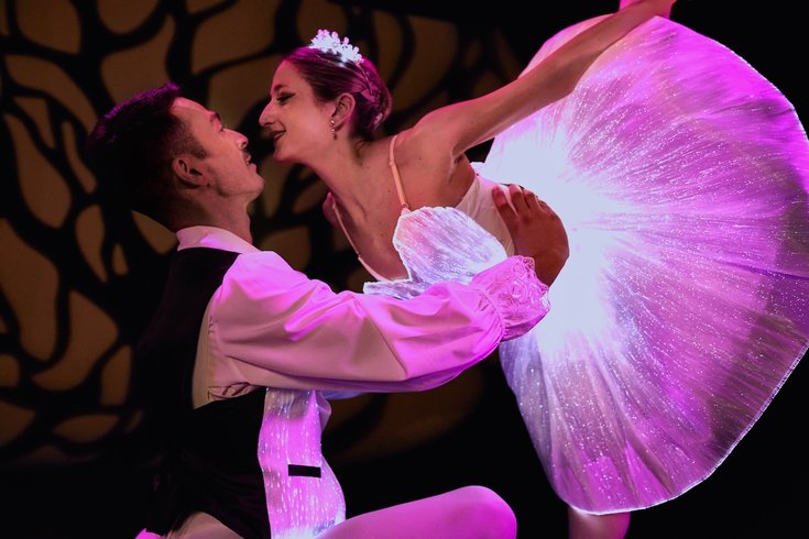 Ballet of Lights - Sleeping Beauty