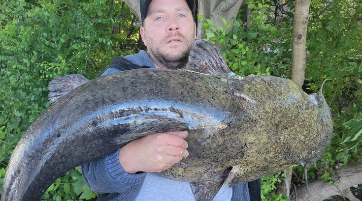 Catfish Schuylkill River