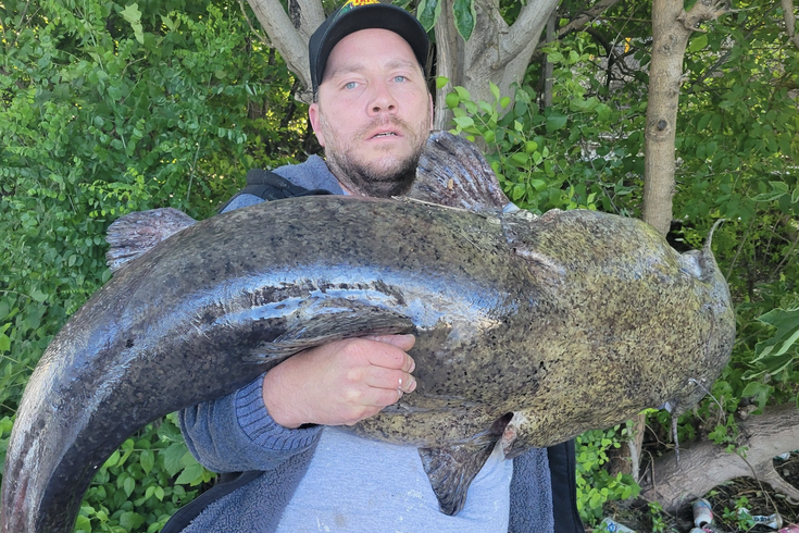 Catfish Schuylkill River