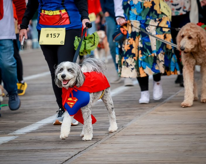 Dog Days Parade in Ocean City