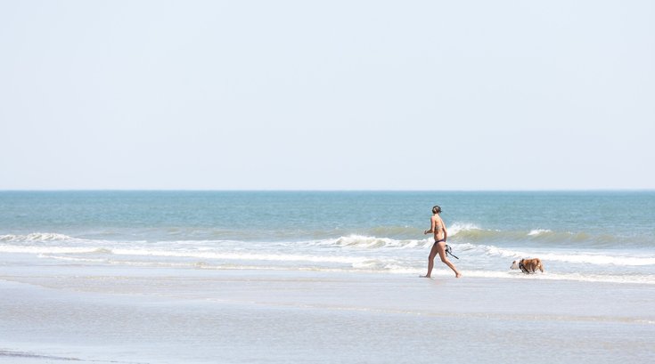 New Jersey beaches fecal bacteria