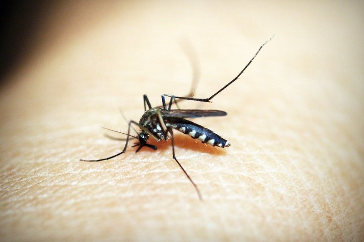 West Nile virus in New Jersey