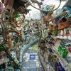 Magic Gardens