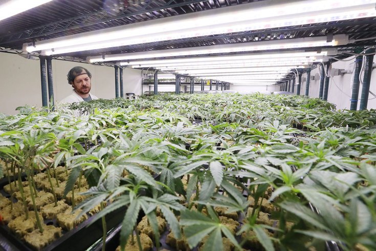 Pennsylvania Marijuana Bill