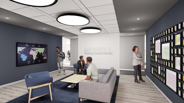 Monell Rendering