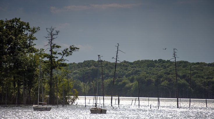 Manasquan Reservoir closed toxic algae