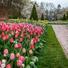 Flower Garden Walk at Longwood Gardens