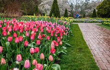 Flower Garden Walk at Longwood Gardens