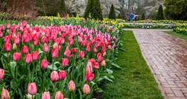 Flower Garden Walk at Longwood Gardens