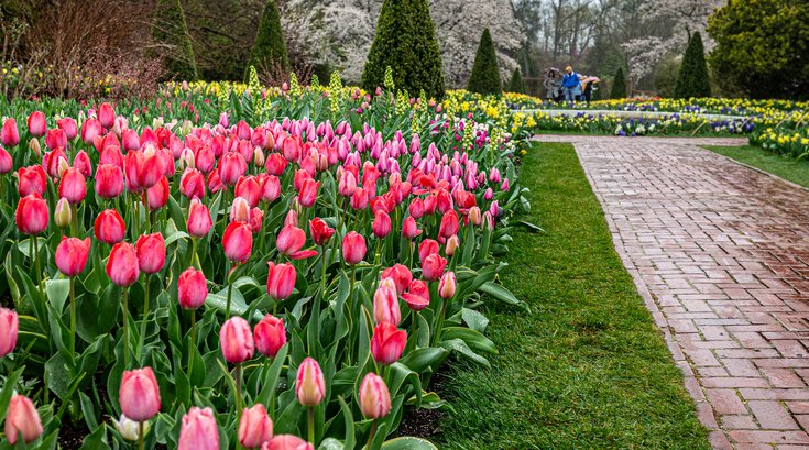 Flower Garden Walk at Longwood Gardens