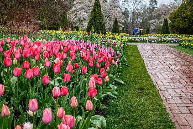 Flower Garden Walk at Longwood Gardens