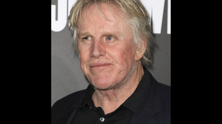 Gary Busey Guilty