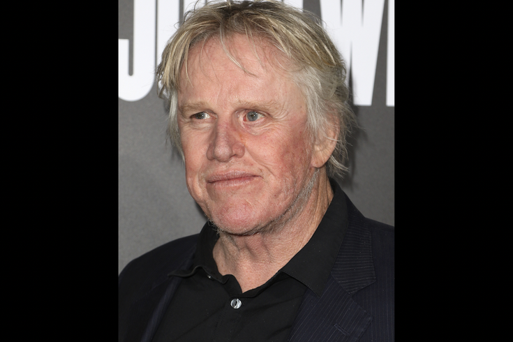 Gary Busey Guilty