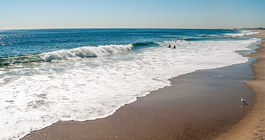 815x524_AsburyPark_iS_637185376.png