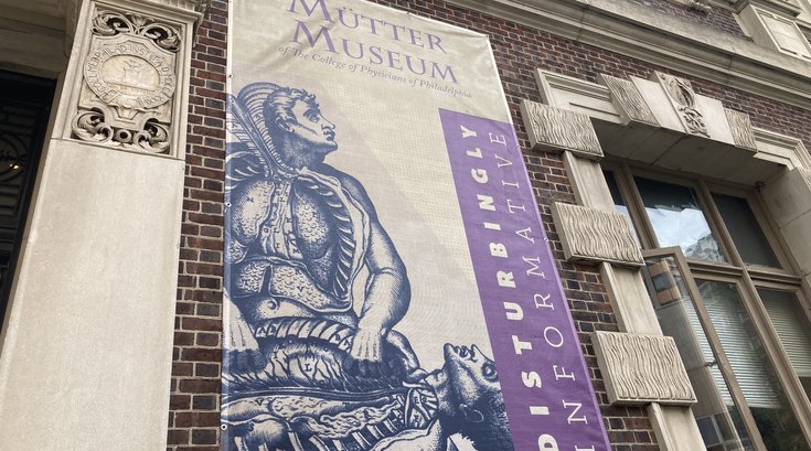 Mutter Human Remains