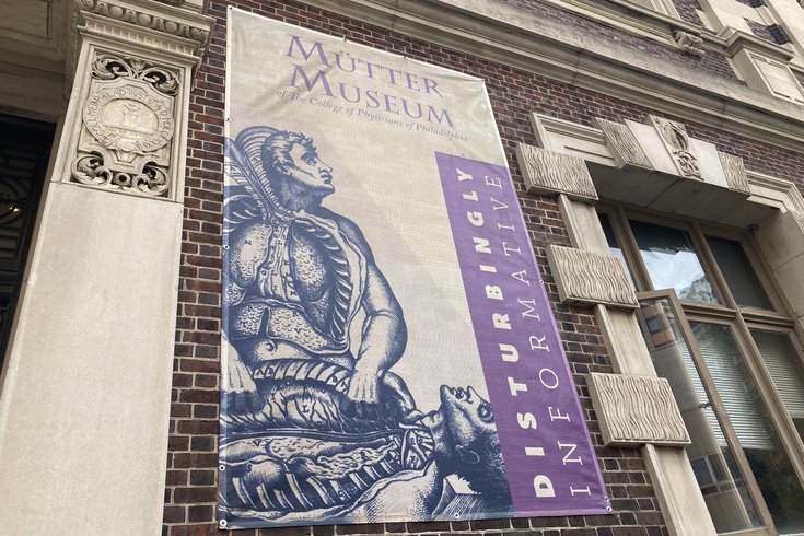 Mutter Human Remains