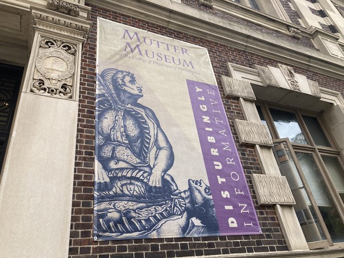 Mütter Museum opts to keep human remains on display after