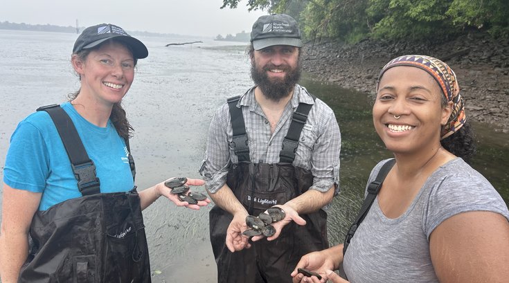 Freshwater Mussels