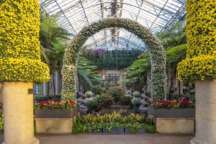 828337_10-22-25 Mum Arch - Fern Floor - Longwood-1505 Hank Davis for Longwood Gardens.jpg