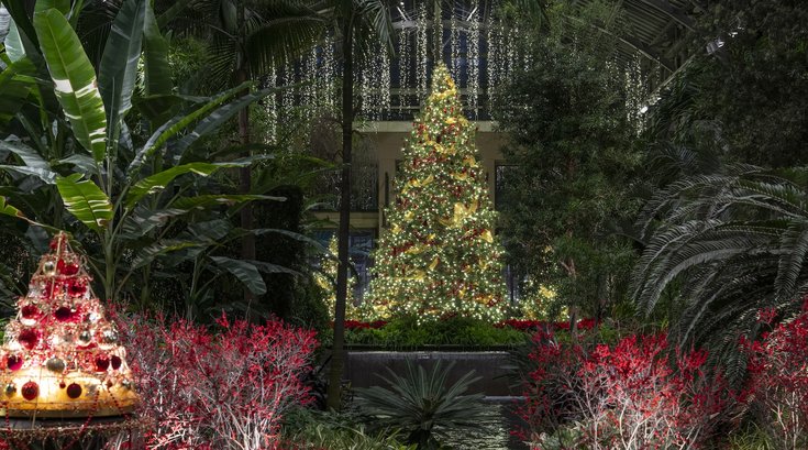 833394_11-20-25 East Conservatory Entrance - Longwood-2644 Hank Davis for Longwood Gardens.jpg