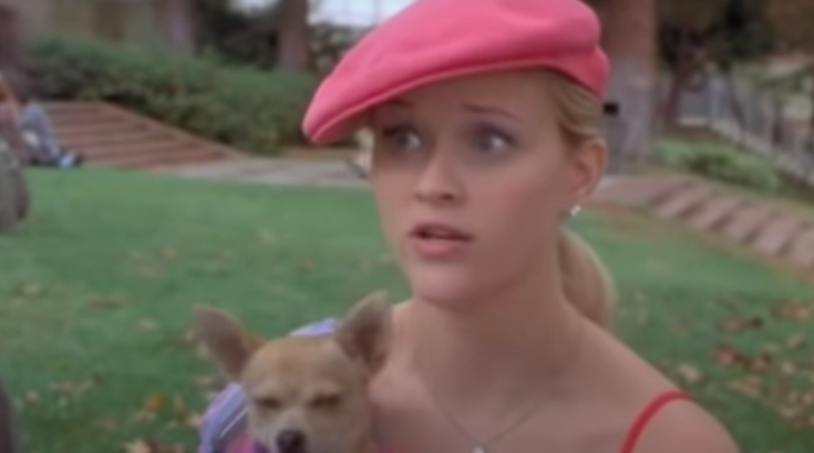 20th anniversary movie series