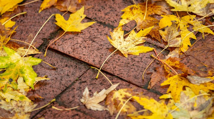 Fall at Peddler's Village