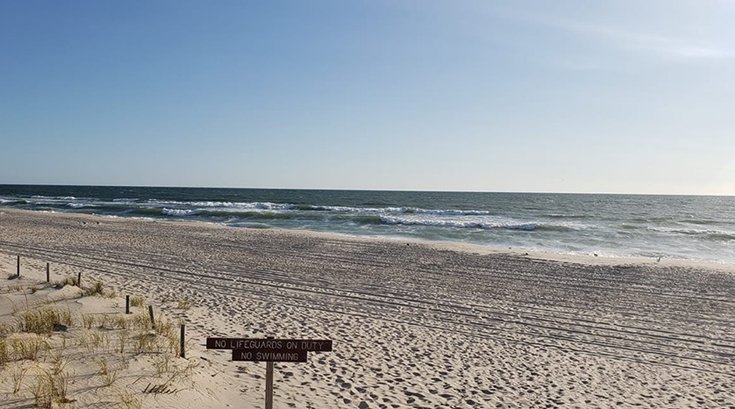 Minke whale stranded Island Beach State Park