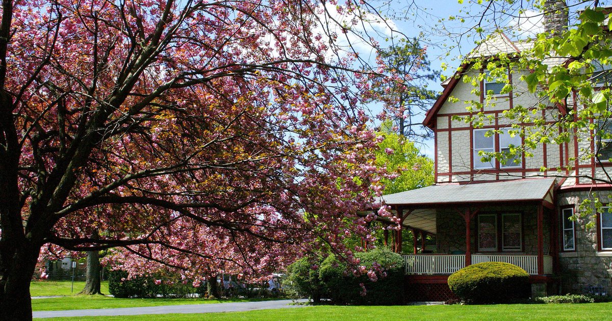 Lower Merion ranks No. 37 on Money' list of best 50 places to live in