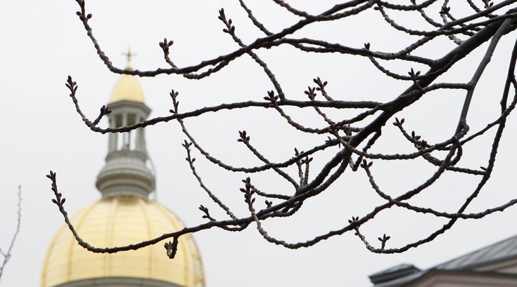New Jersey Statehouse