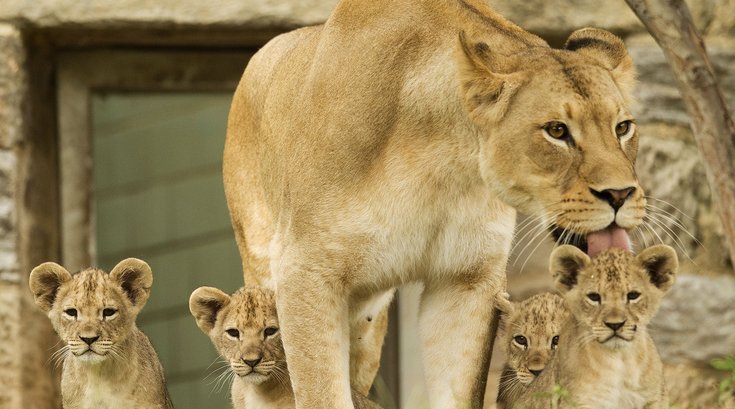 04202015_PhillyZoo_AP