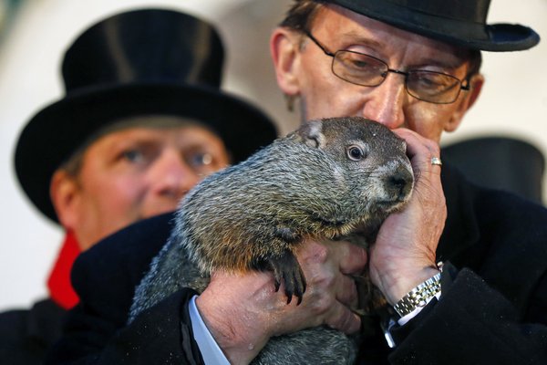 Punxsutawney Phil