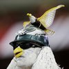 091515EaglesFan