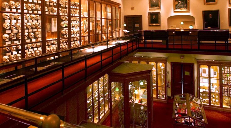 Inside the Mutter Museum