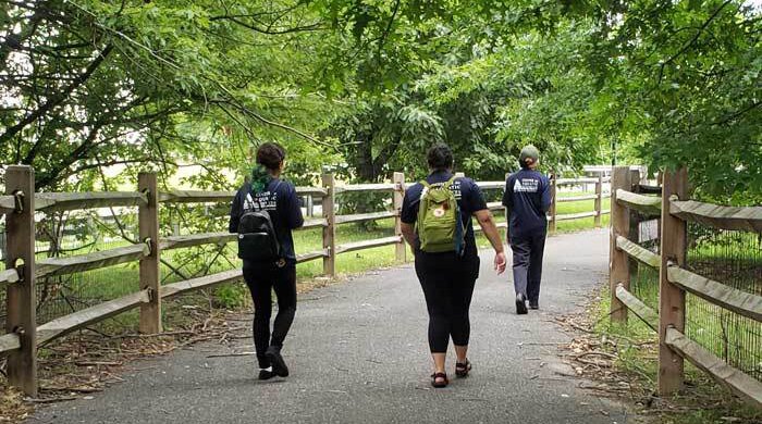 Limited - AWE Fellows Main Image