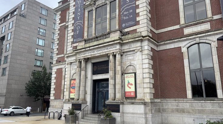 Academy of Natural Sciences City Council hearings