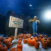 Adventure Aquarium Fintastic Pumpkin Glow