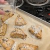 Ant Scones UD 1